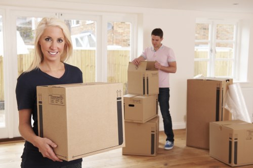 Packing boxes for flat removals in Lee